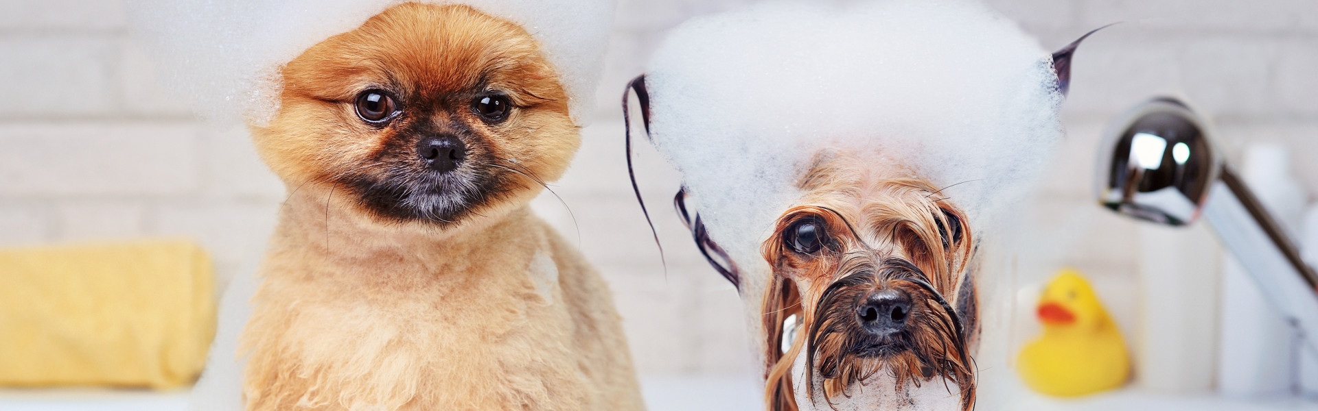 iStock 1199449394